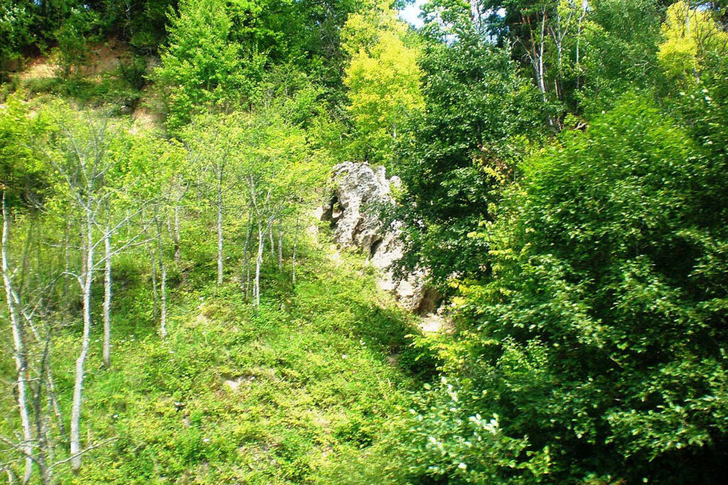 ozku-pecius-gallery-3 Pasiplaukiojimas laivu Birštone