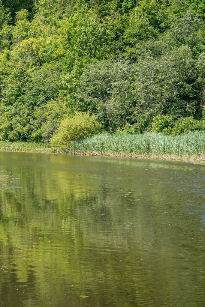 verkne-gallery-4 Pramogos Birštone